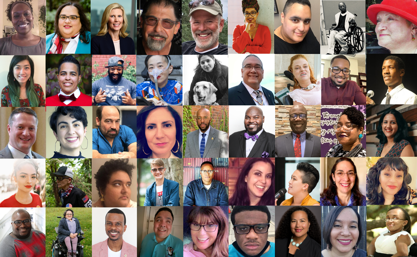 Collage of headshots of the Class of 2020 inductees into the Susan M. Daniels Disability Mentoring Hall of Fame